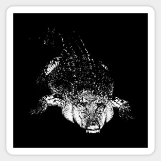 Crocodile Vintage Black and White Alligator Reptile Sticker